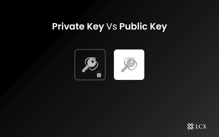 LCX Private Key Vs Public Key