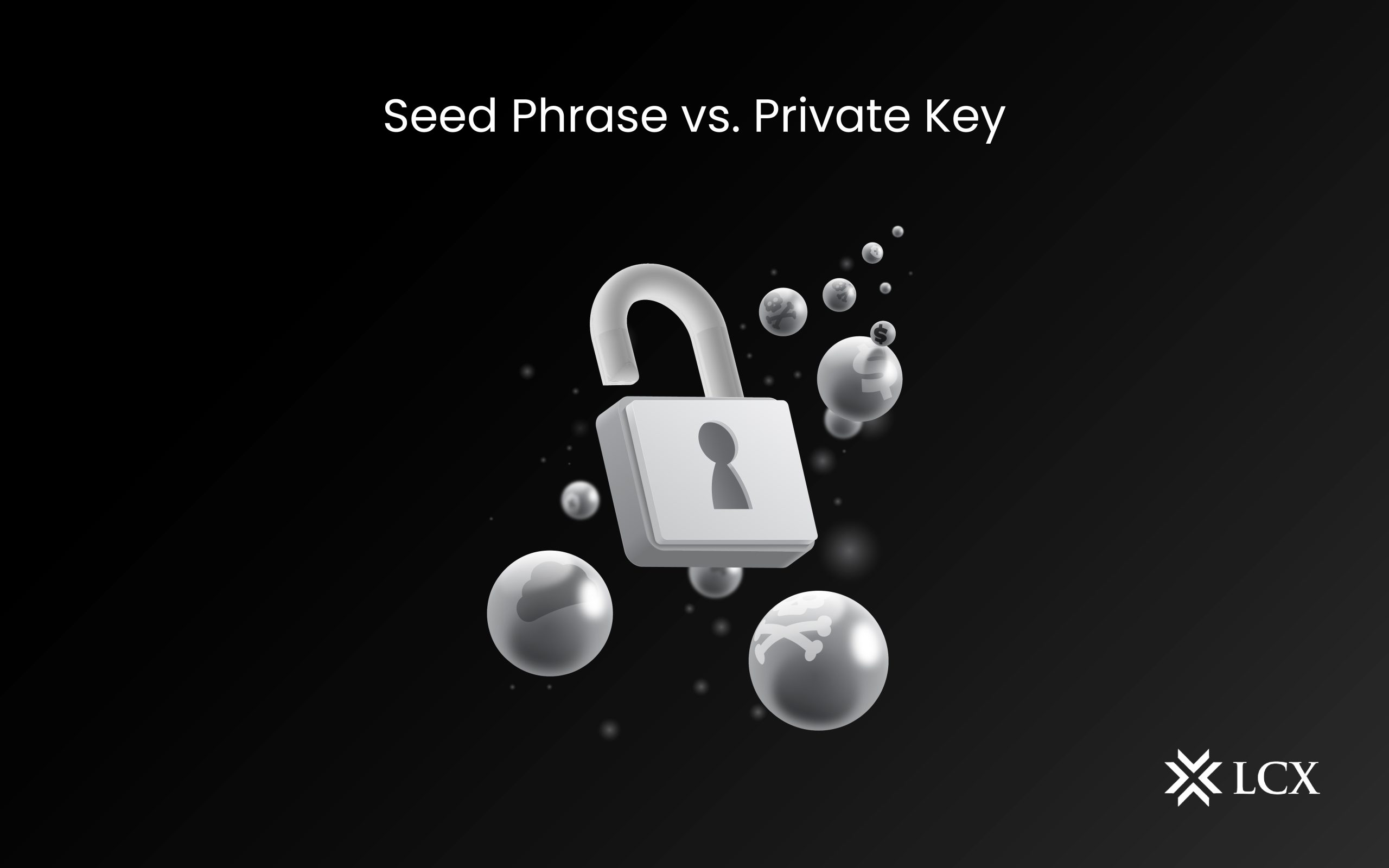 metamask private key vs seed phrase