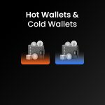 20221031 LCX Hot wallets & Cold wallets Blog Post