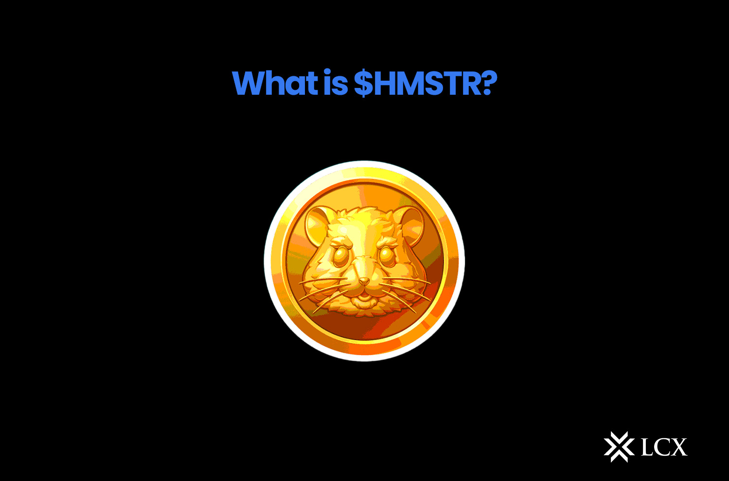 20240927 Blog Image What is $HMSTR_ What is Hamster